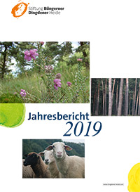 jahesbericht 2019
