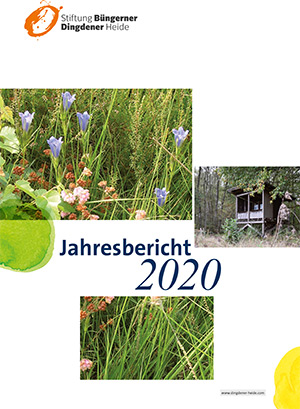 dhs_jahresbericht2020