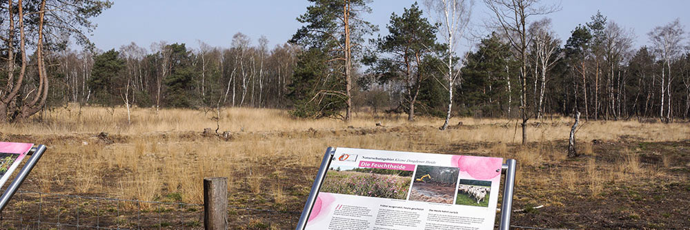 Infopunkt Feuchtheide